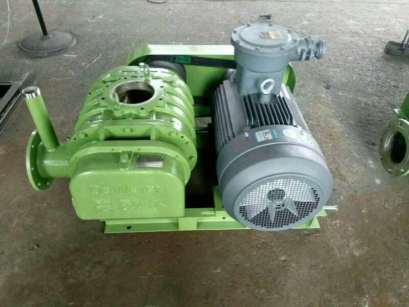 不銹鋼羅茨風(fēng)機